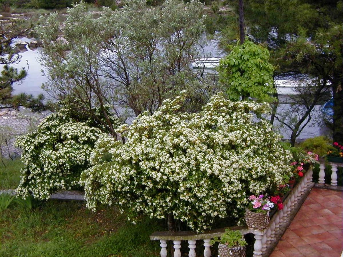 Villa Jaz Seline Kültér fotó
